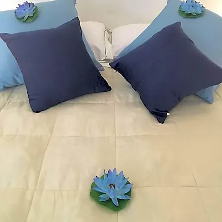 B&B Vacation 3 베르나차